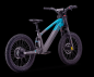 Preview: Elektro Fahrrad Sedna SX20"